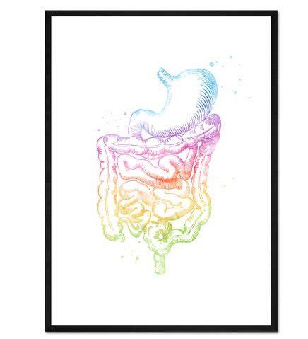 Posters & Illustrations: Poster Regenbogen Darm, Versand auch möglich – Neuf avec emballage d'origine à Neuenhof par summer_25 2