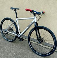 Leichtes MTB Bike