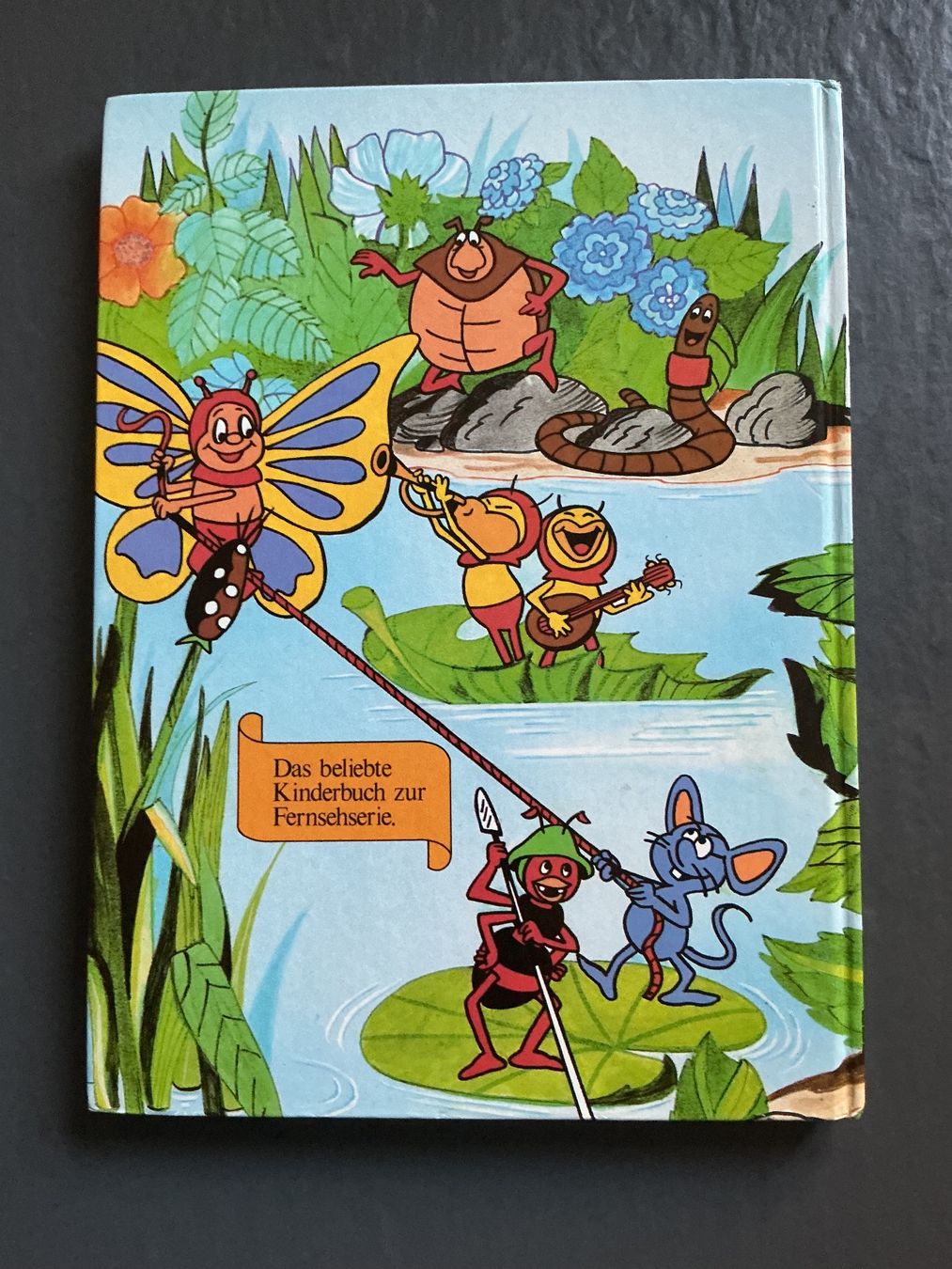 Bücher: Biene Maya – Gebraucht aus Niederhasli von ercp4 1