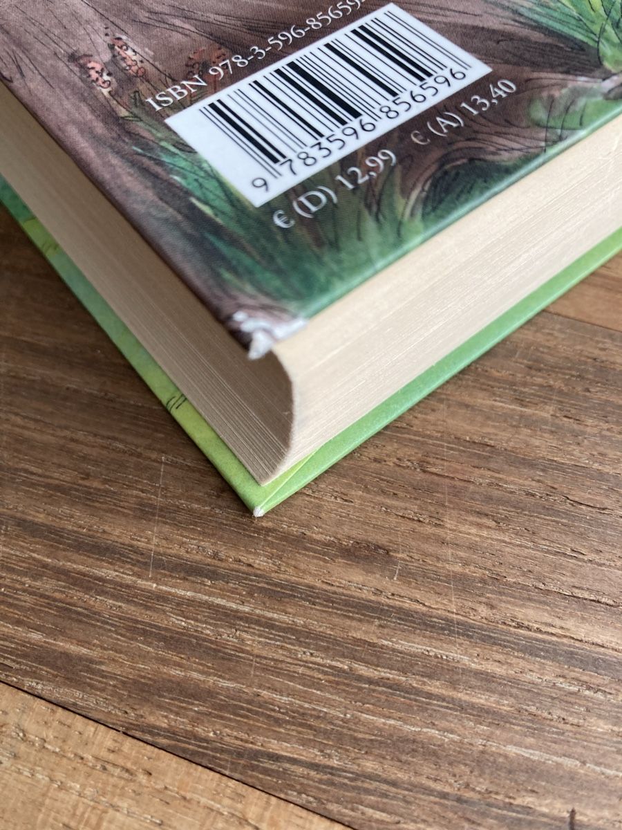 Libri: Buch- Vier zauberhafte Schwestern – Usato da Luzern venduto da Aldabema 2
