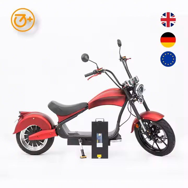 Carte collezionabili: CityCoco MH3 EasyRider – Nuovo (secondo la descrizione) da Villmergen venduto da e-pro