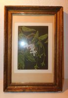 Neue Fundschätze Radierung original alte Radierung  50 x 34