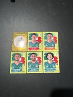 Panini WM 2026 Team Mexiko 6 Stück