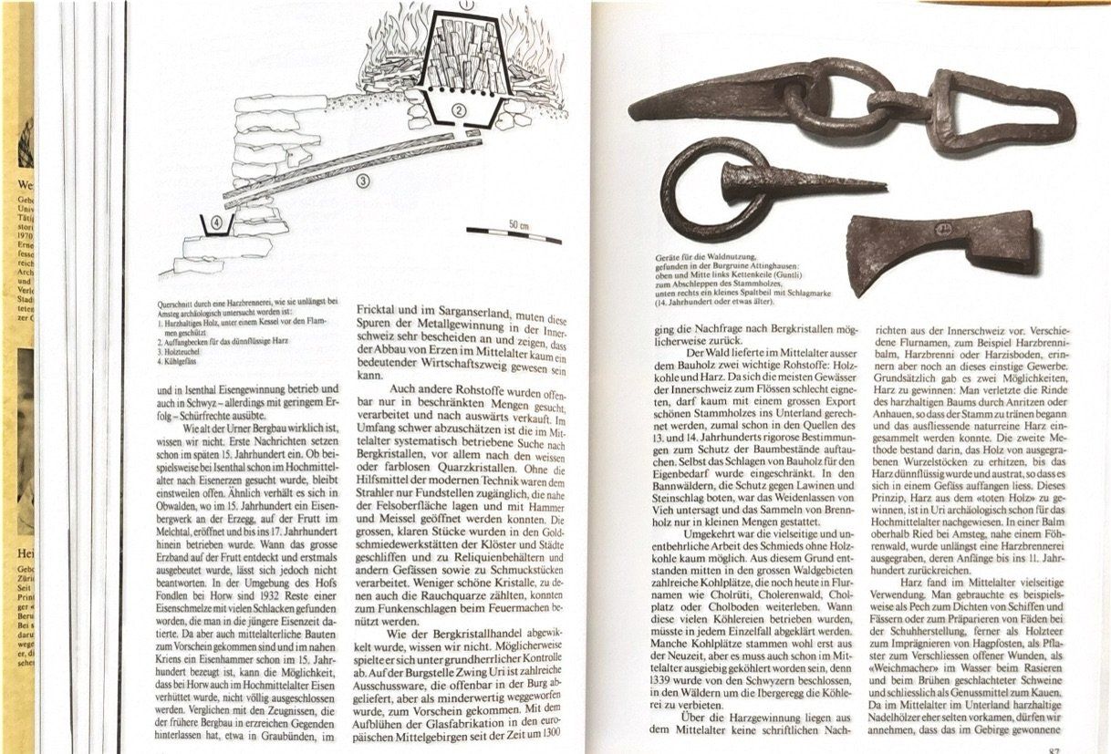 Livres: Meyer Werner, 1291 - Die Geschichte – D'occasion à Sarnen par Livres 6