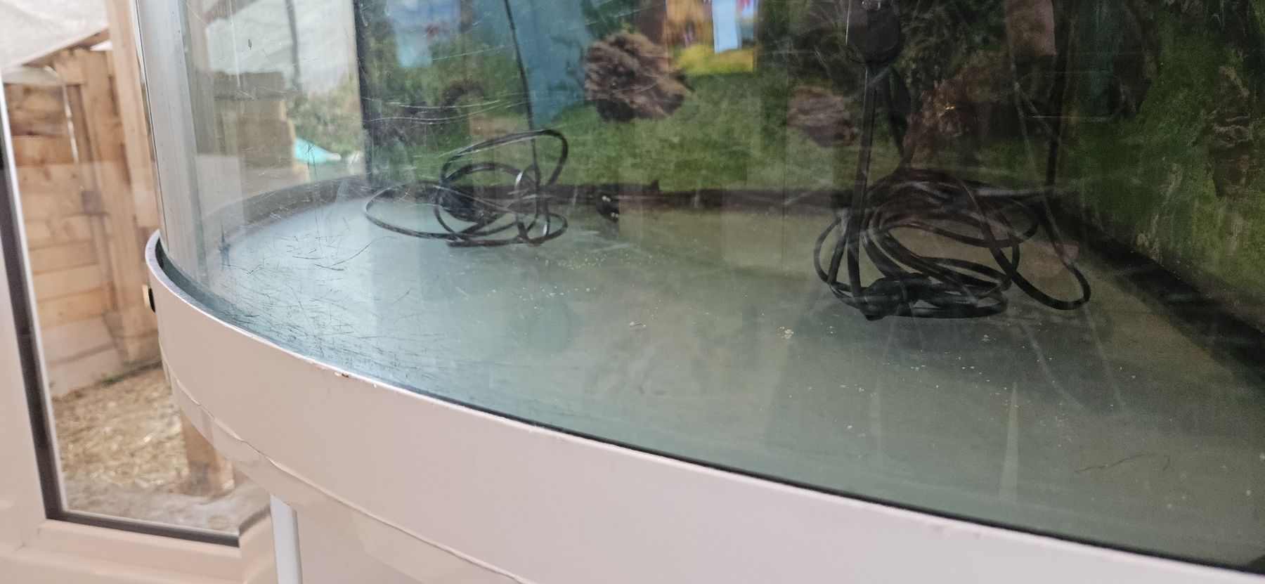 Aquarium: aquarium Juwel trigon 350L – Gebraucht aus Forel-Sur-Lucens von guigui010