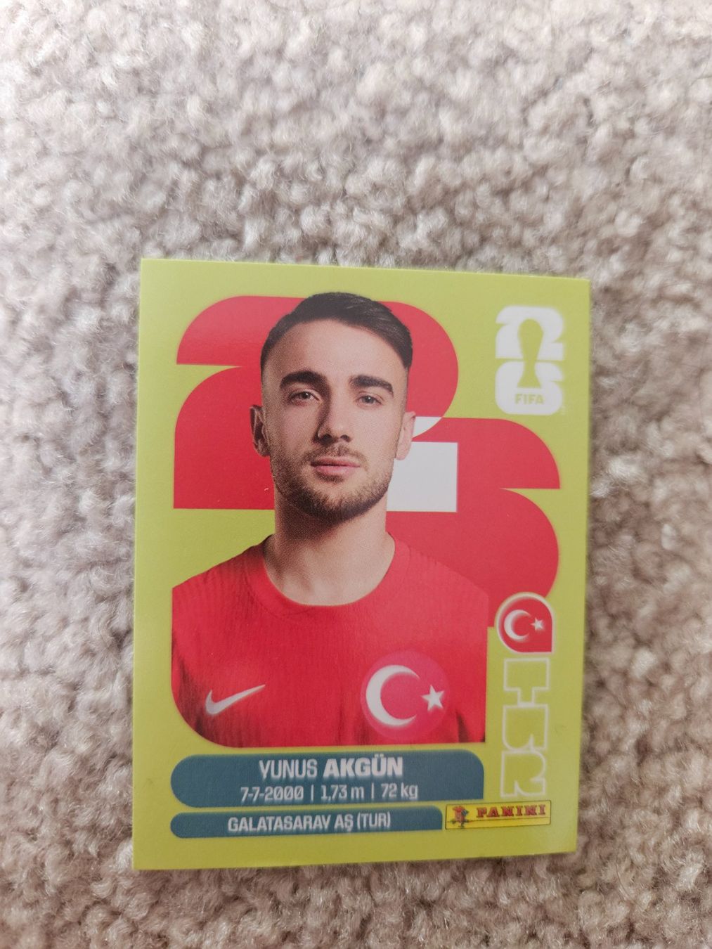 Panini Carte collezionabili: Carte Panini WM 2026 – Usato da Henniez venduto da Tjiminy