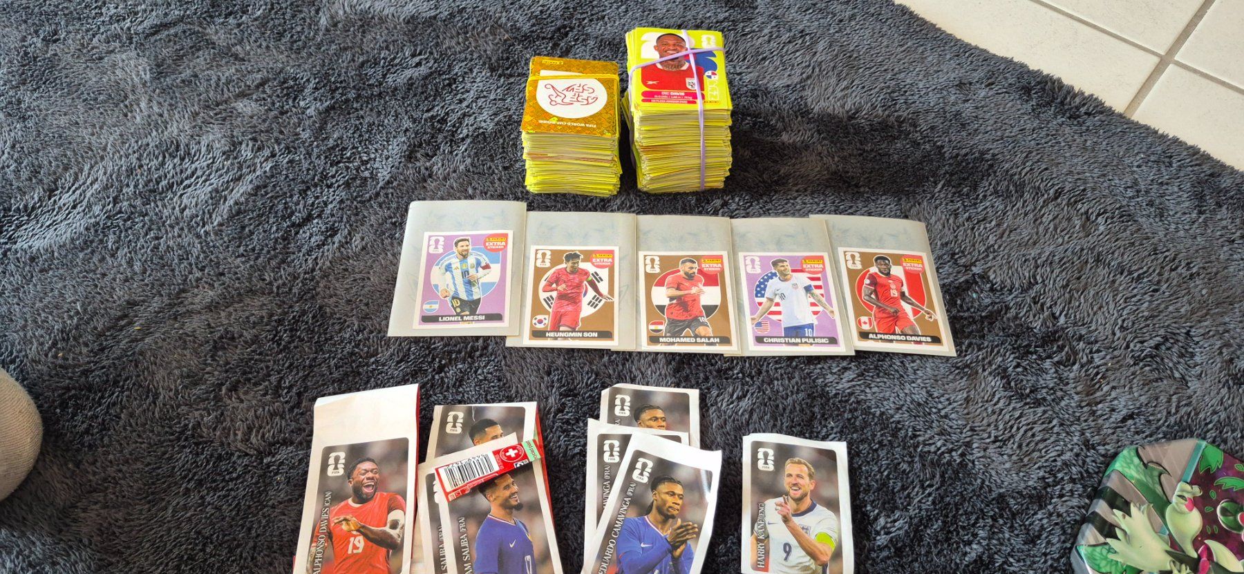 Panini Sammelbilder & Trading cards: Wm 2026 Panini Set – Gebraucht aus Liestal von LeaMic