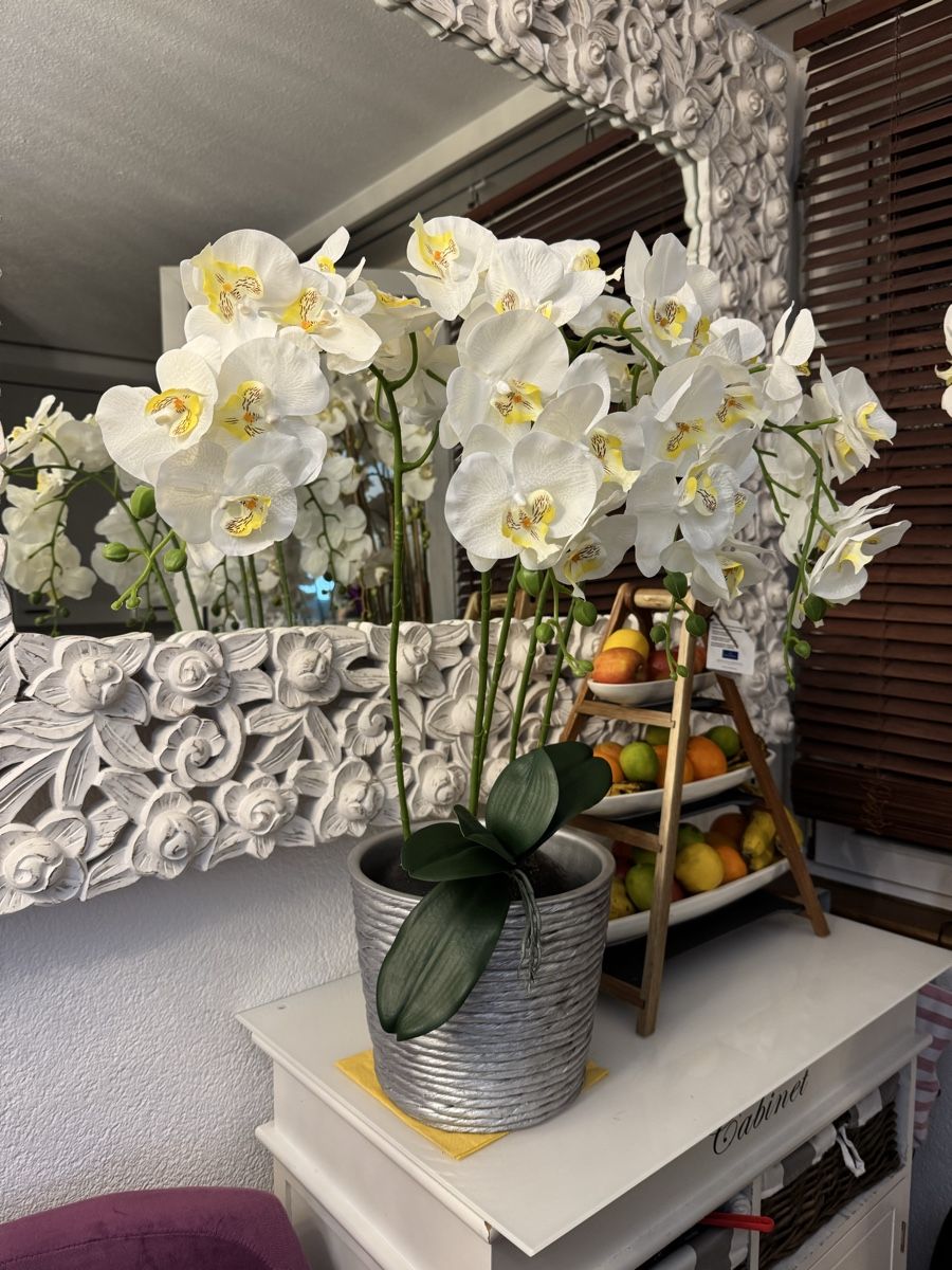 Alle Dekorationen: Künstliche Orchideen New – Neu (gemäss Beschreibung) aus Zürich von Privat4444 1