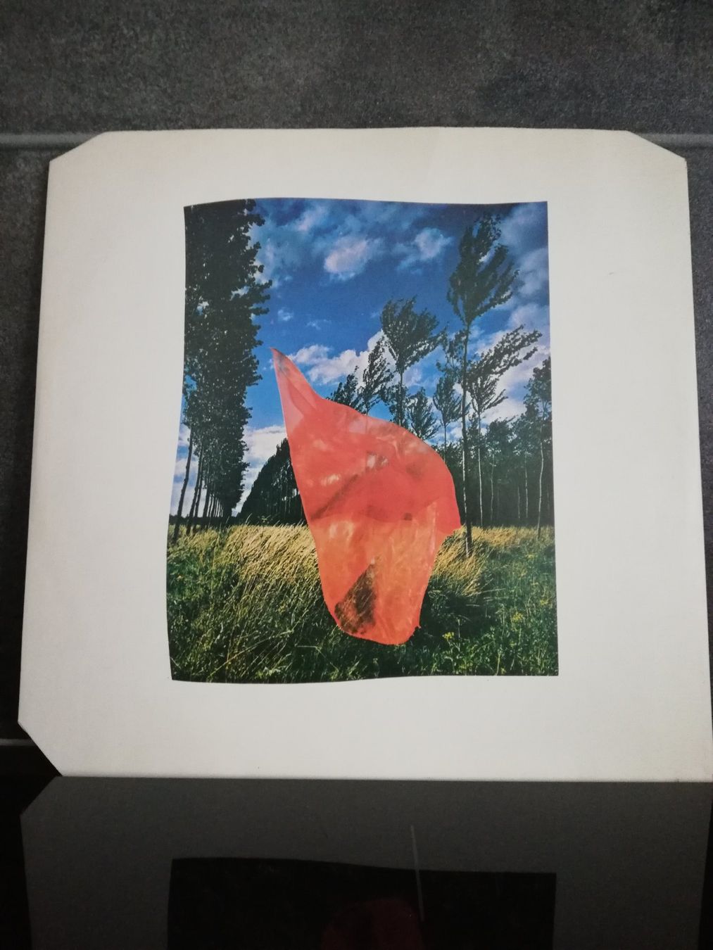 Dischi in vinile: PINK FLOYD-WISH YOU WERE HERE – Usato da schaan venduto da quin1 2