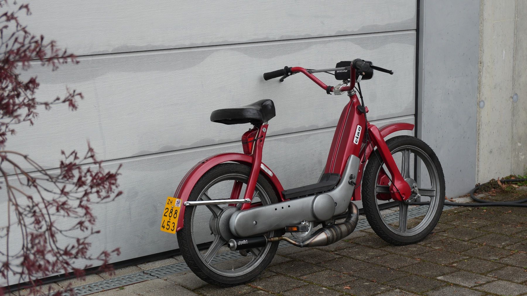 Piaggio Mofas: Piaggio Ciao mit Ausweis – Gebraucht aus Bachenbülach von lola059