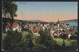 AK Wädensweil, Ortsansicht vom Hang aus