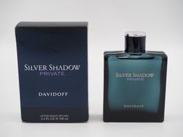 DAVIDOFF Silver Shadow Private Aftershave 100ml (2670318PL)