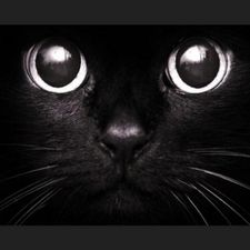 Profile image of sabi.sk92