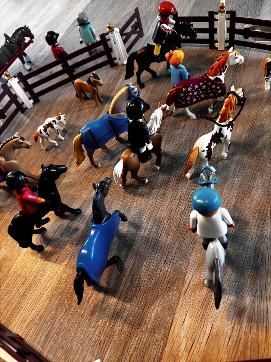 Playmobil Giocattoli: Lot de Playmobil Équitation  – Usato da Pully venduto da Fictikalli 1