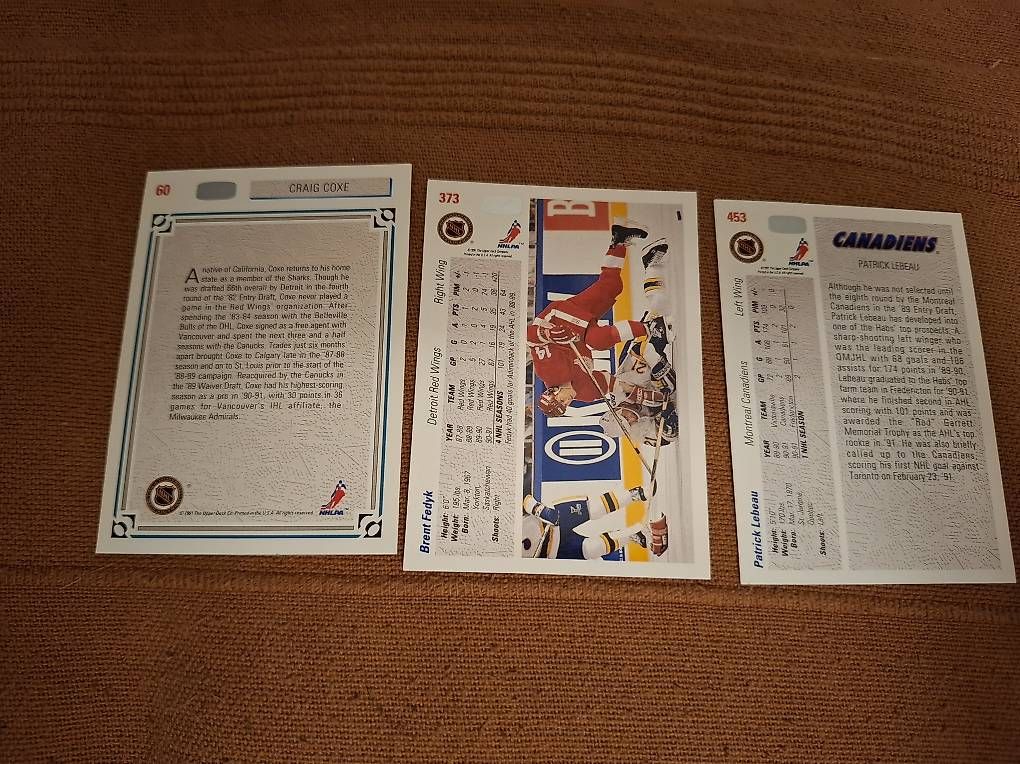 Carte collezionabili: Eishockey Sammelkarten 1992  – Usato da Pfäffikon SZ venduto da yello13 1