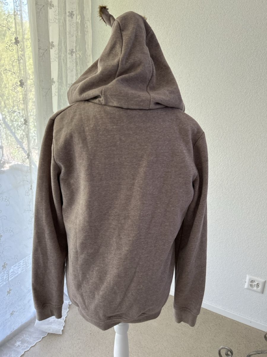 Maglioni & Felpe: Sweater, Marke Fishbone, Gr. L – Usato da Langwiesen venduto da Cattii 1