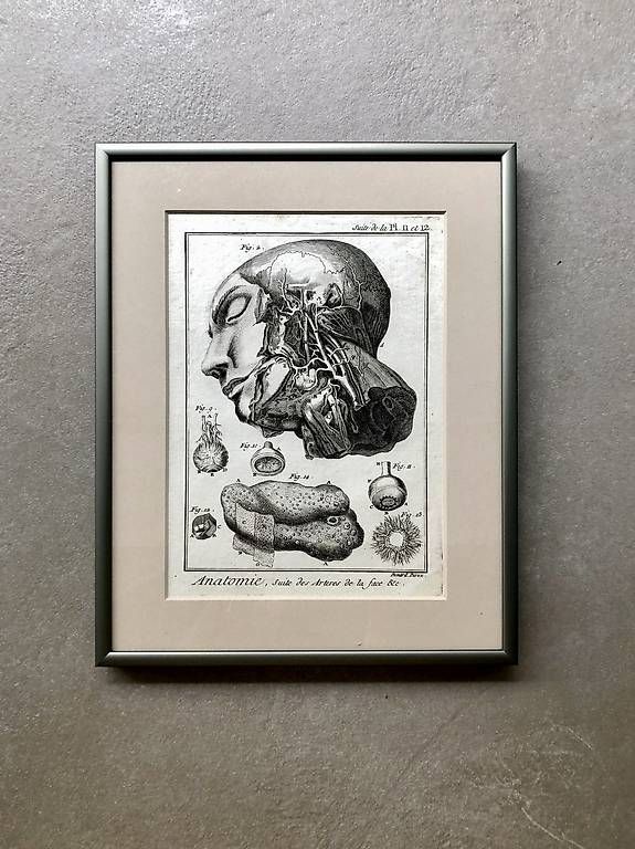 Poster & Bilder: 18. Jahrhundert Kupferstich Robert Benard – Neu und originalverpackt aus Baar von MY1993