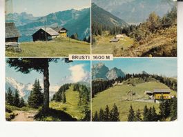 Brusti 1977