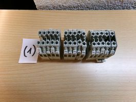 15St. Klemme hellgrau 4mm2 WK4/U (1)