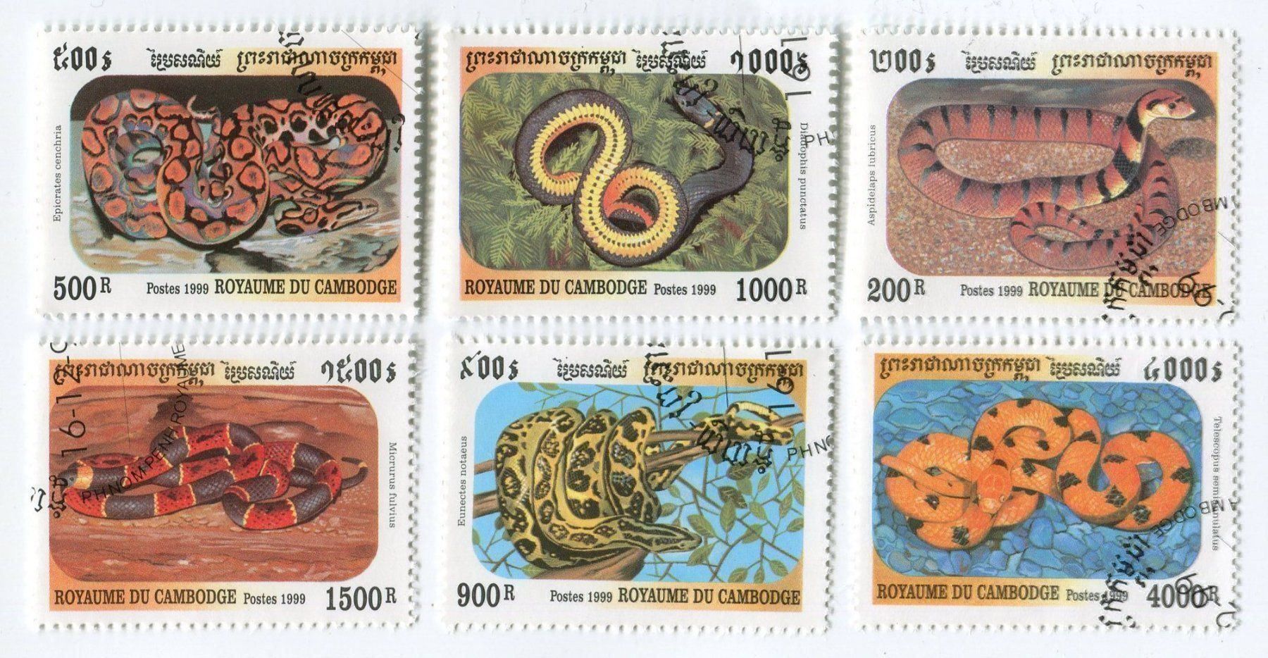 Alle Briefmarken: Briefmarken "Schlangen". Kambodscha. – Neu und originalverpackt aus Basel von Butsch5