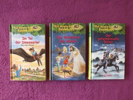 Das magische Baumhaus 3er Bücher Set