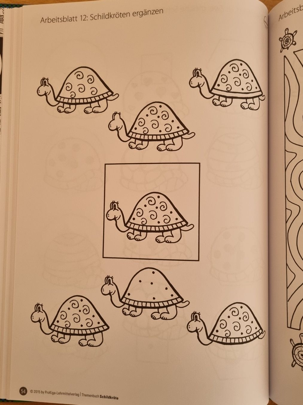 Libri: Prokiga Themenbuch "Schildkröte" NEU! – Nuovo (secondo la descrizione) da Weite venduto da Nur63 6
