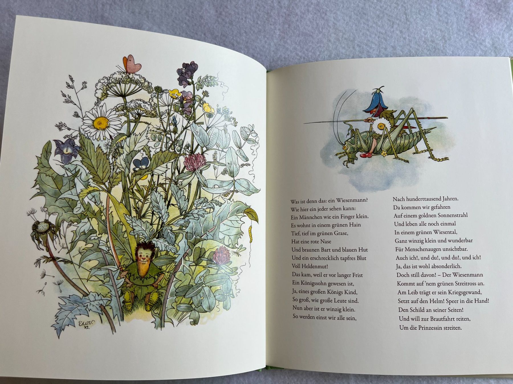 Libri: Wiesenmännchens Brautfahrt Will Vesper Bilder Else Wenz-V... – Nuovo (secondo la descrizione) da Altendorf venduto da herkules74 3