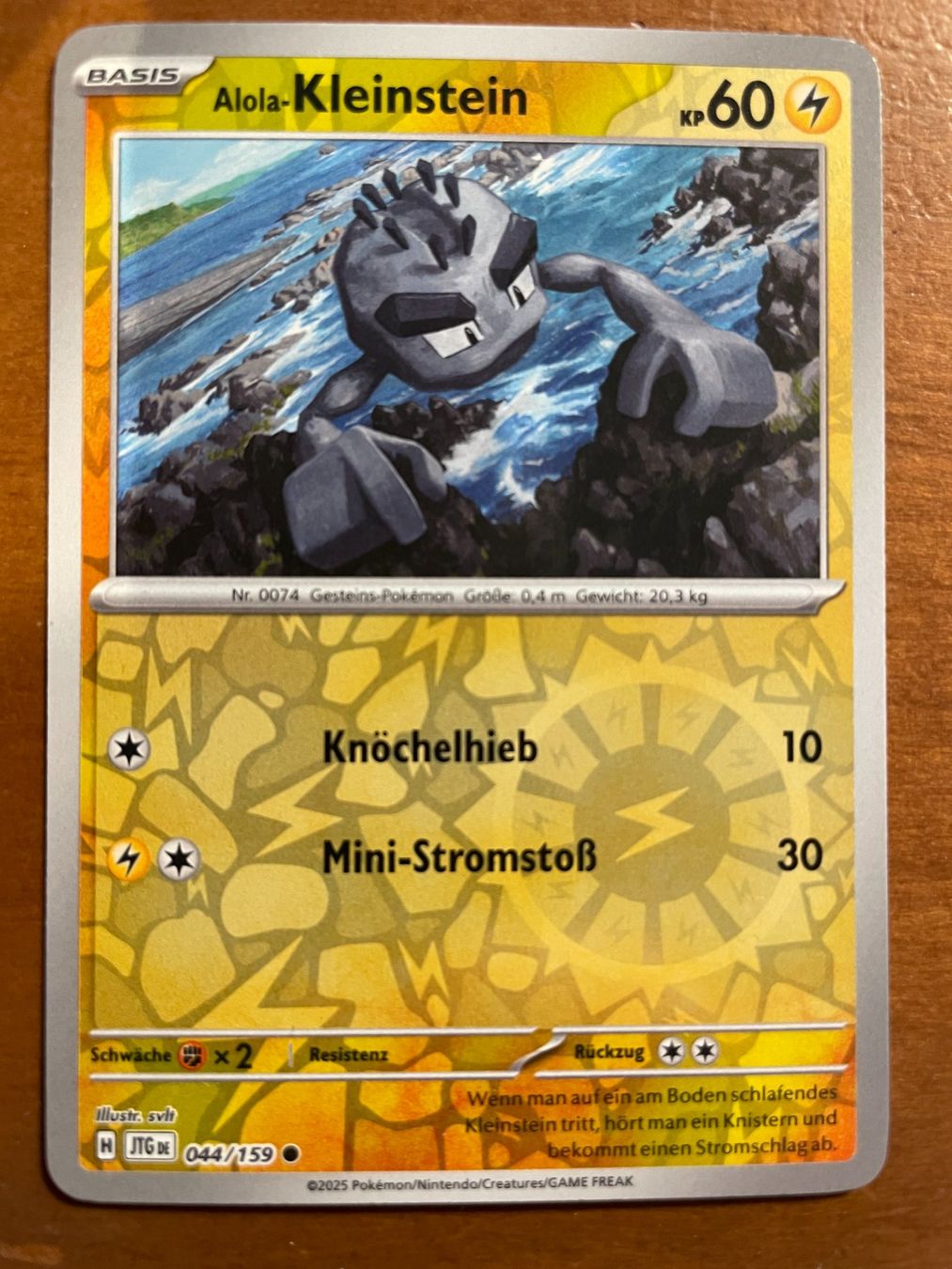 Pokémon Carte collezionabili: Pokemon Alola-Kleinstein Reverse (Versand gratis) – Nuovo (secondo la descrizione) da Chur venduto da Angerson