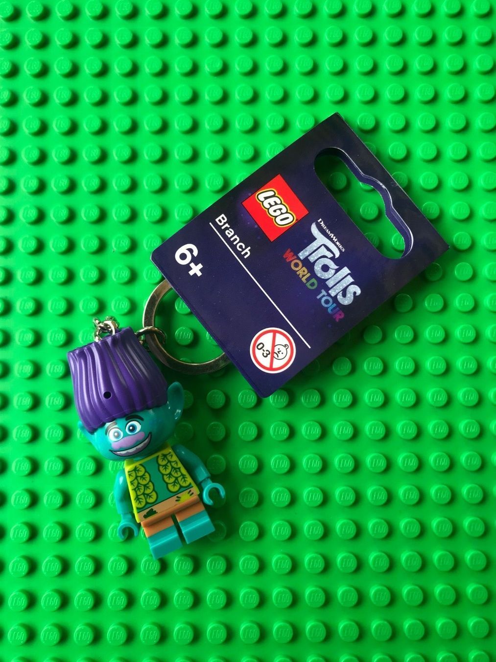 Lego Kit di costruzioni: Lego Trolls Branch NEU – Nuovo e nell'imballaggio originale da Bürglen TG venduto da davi2010