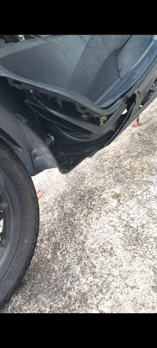 Honda Scooter: Honda pcx 125cm3 2015 – Usato da Delémont venduto da ben_cq5d 2