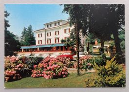 Park-Hotel, Rovio