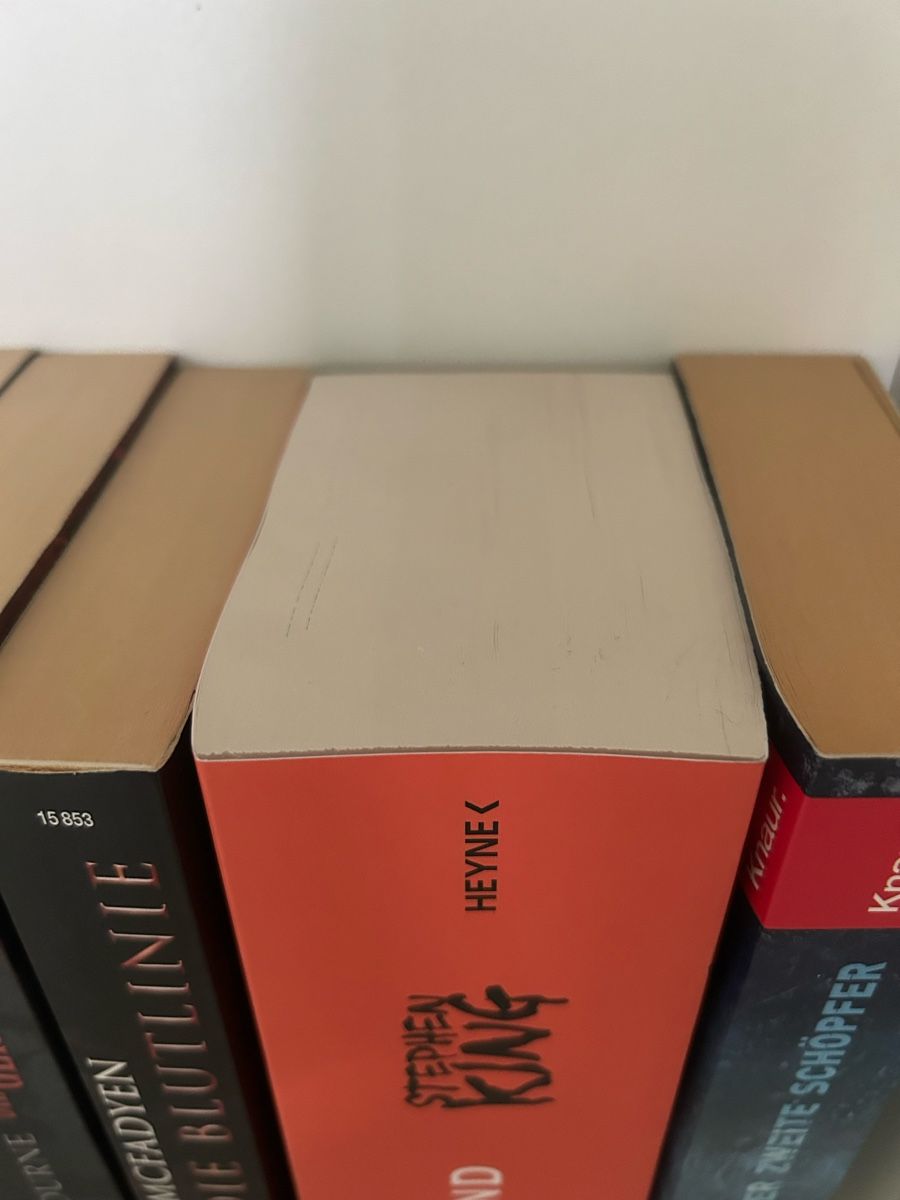 Bücher: Stephen King The Stand – Gebraucht aus Arbon von Bobbyx777 1