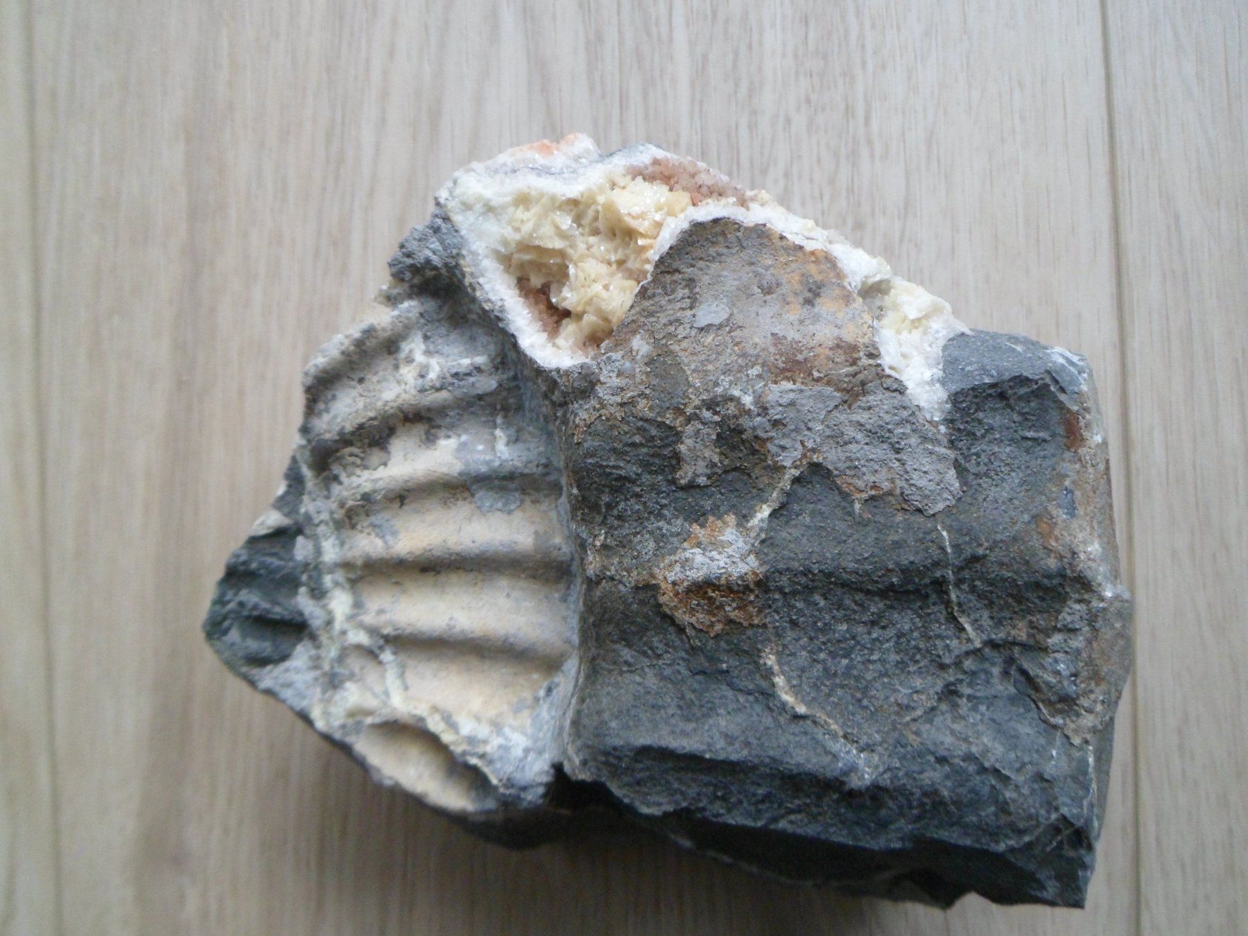 Fossilien: Calcit + Ankerit / Dolomit Schweiz – Gebraucht aus Affoltern am Albis von Fossil60 2