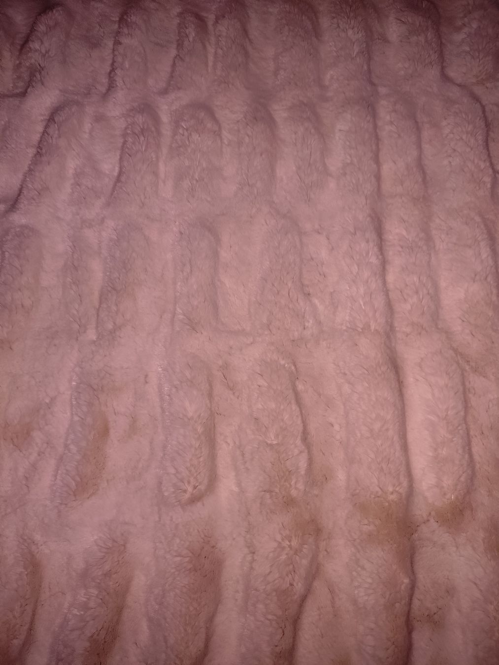 Coperte: Schöne Chinchilla Decke – Usato da Bremgarten AG venduto da irmscherastraH 2