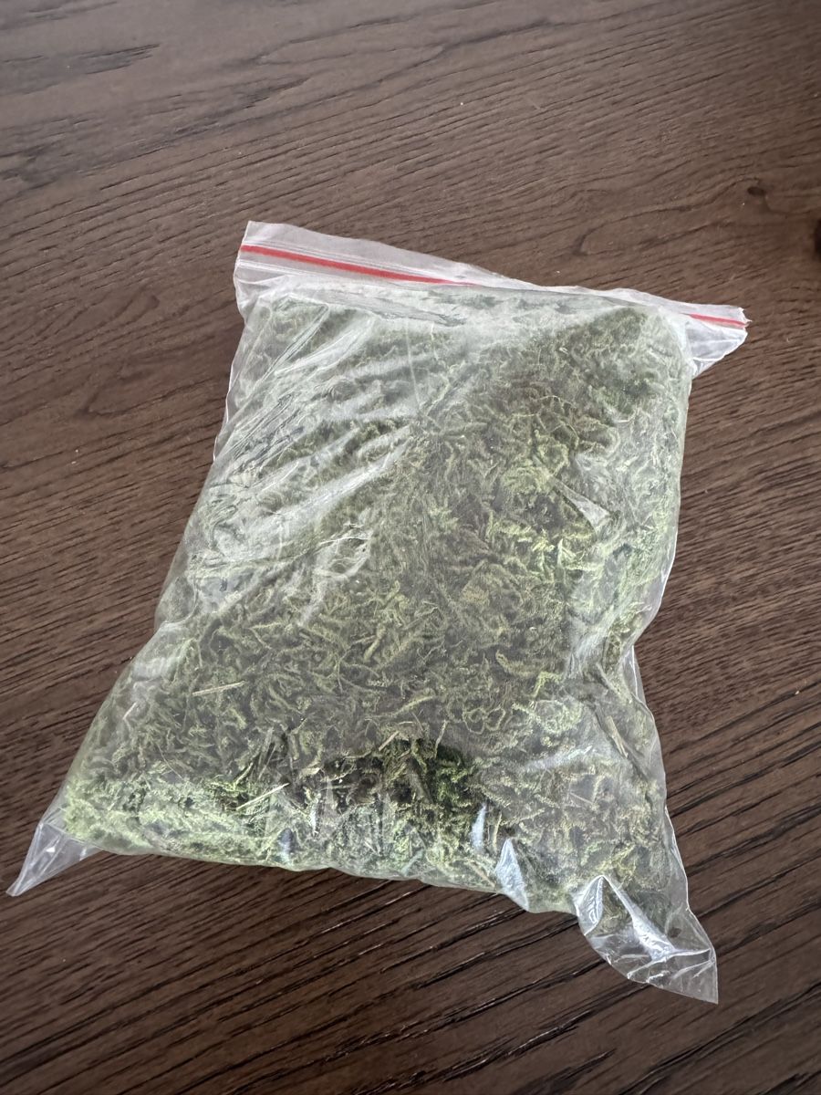 Tutte le decorazioni: Natural Decorative Moss – Nuovo e nell'imballaggio originale da Zürich venduto da ign_9q8k 1