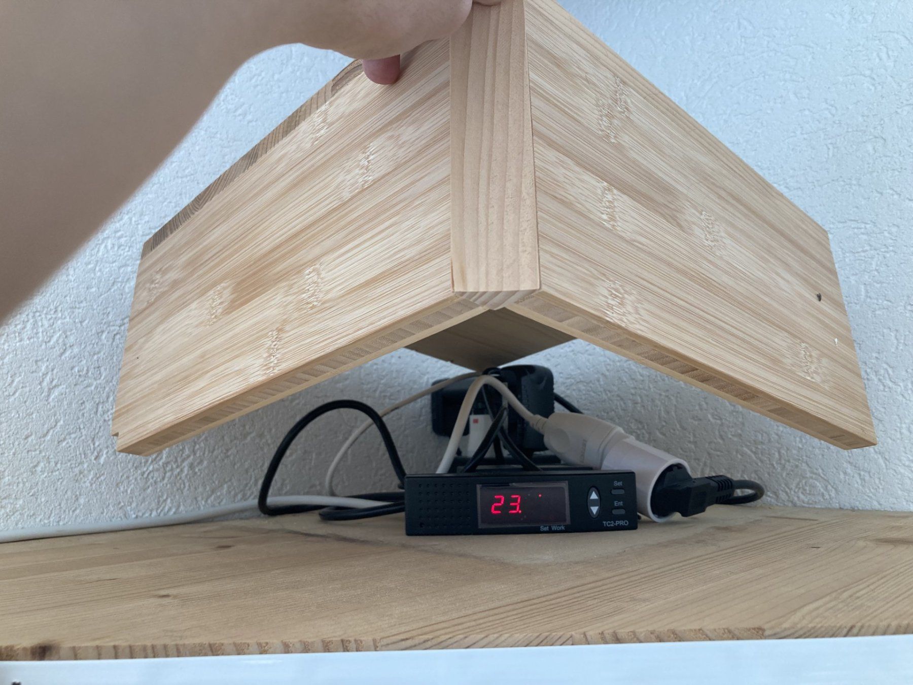 Terrario: Terrarium d'angle à vendre – Usato da Vuarmarens venduto da Vanar 4