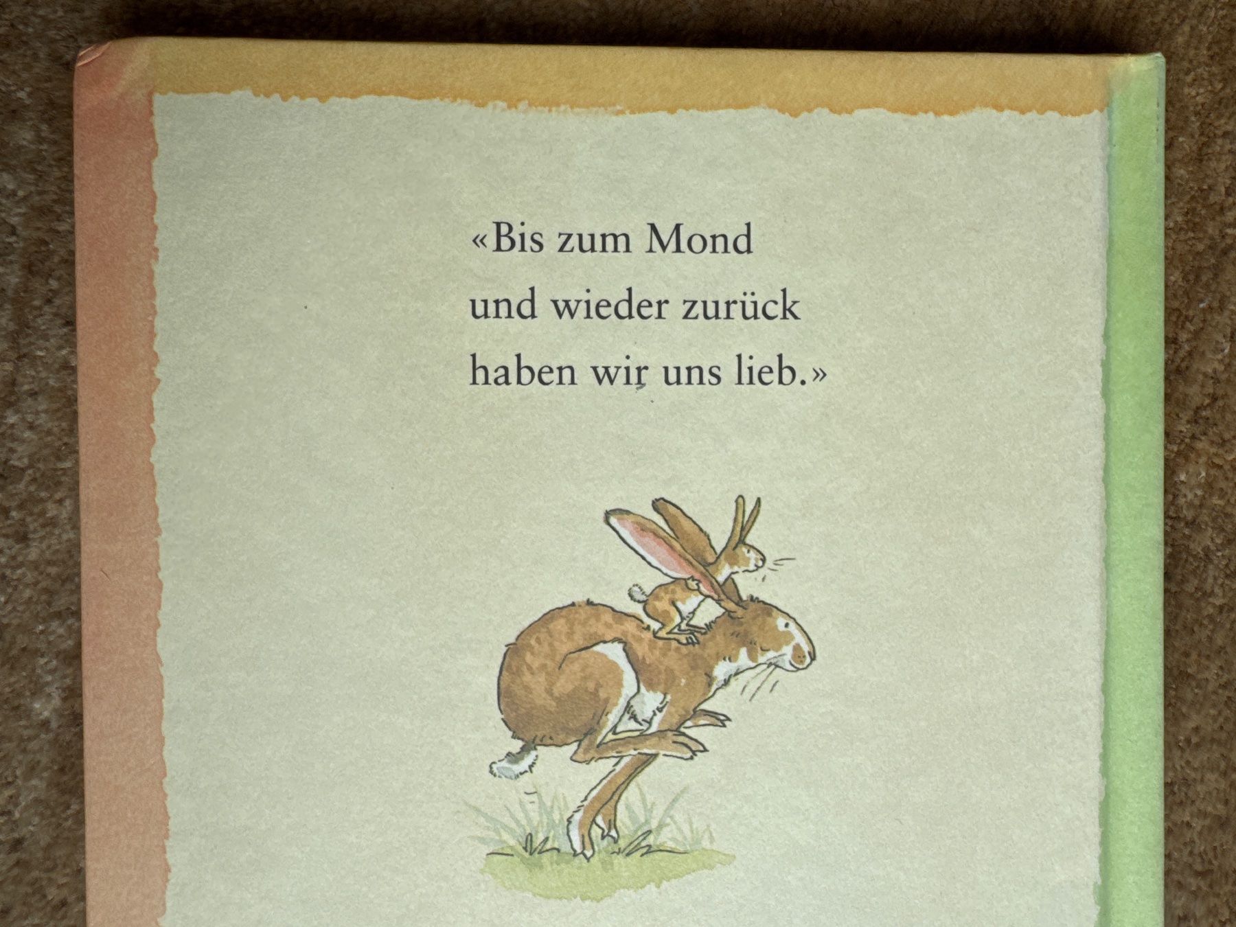 Libri: Weisst du eigentlich wie lieb ich dich hab? – Usato da Aarau venduto da Kilauea 9