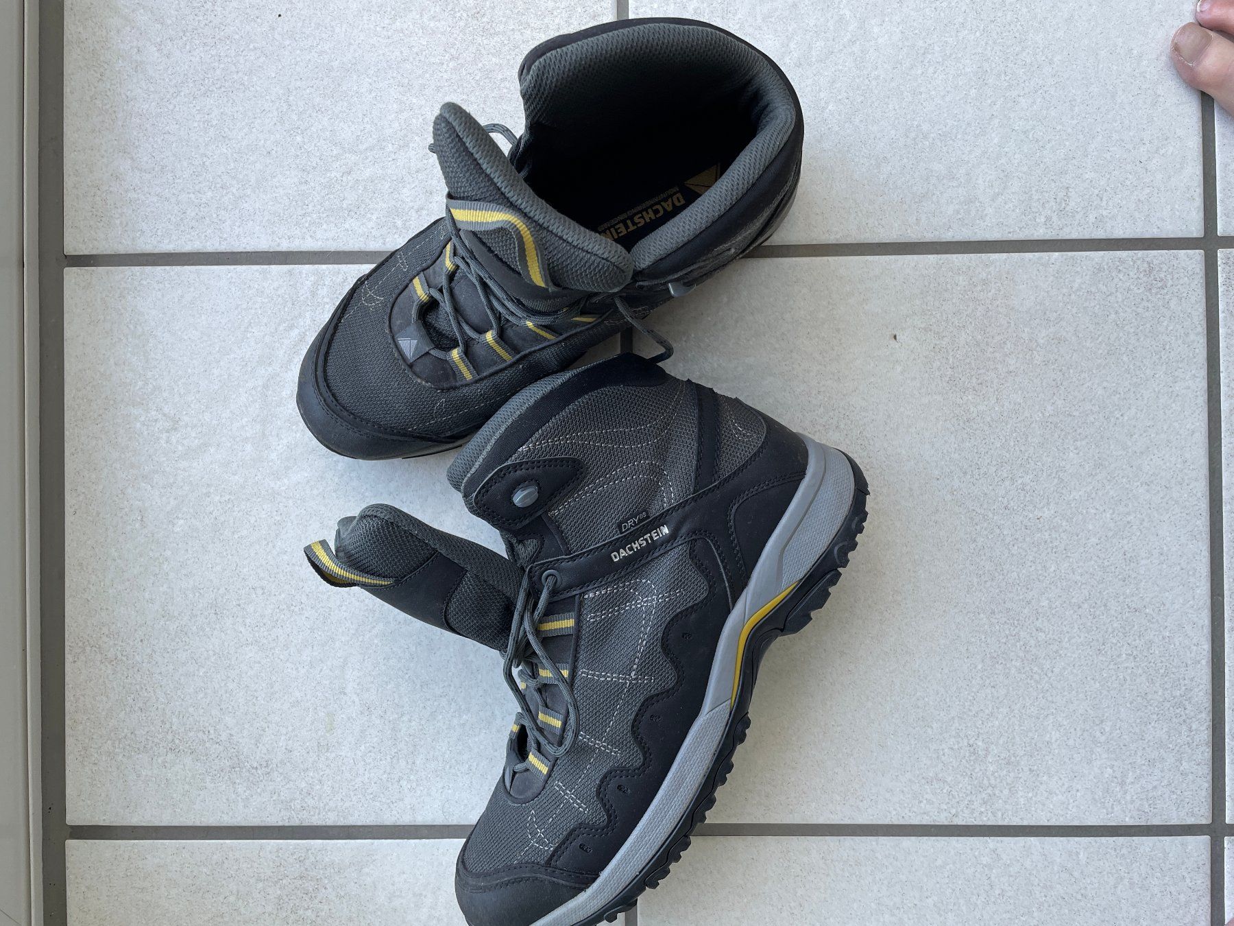 Dachstein Scarpe da uomo: Trekkingschuhe Dachstein – Nuovo (secondo la descrizione) da Bremgarten b. Bern venduto da Ardeche