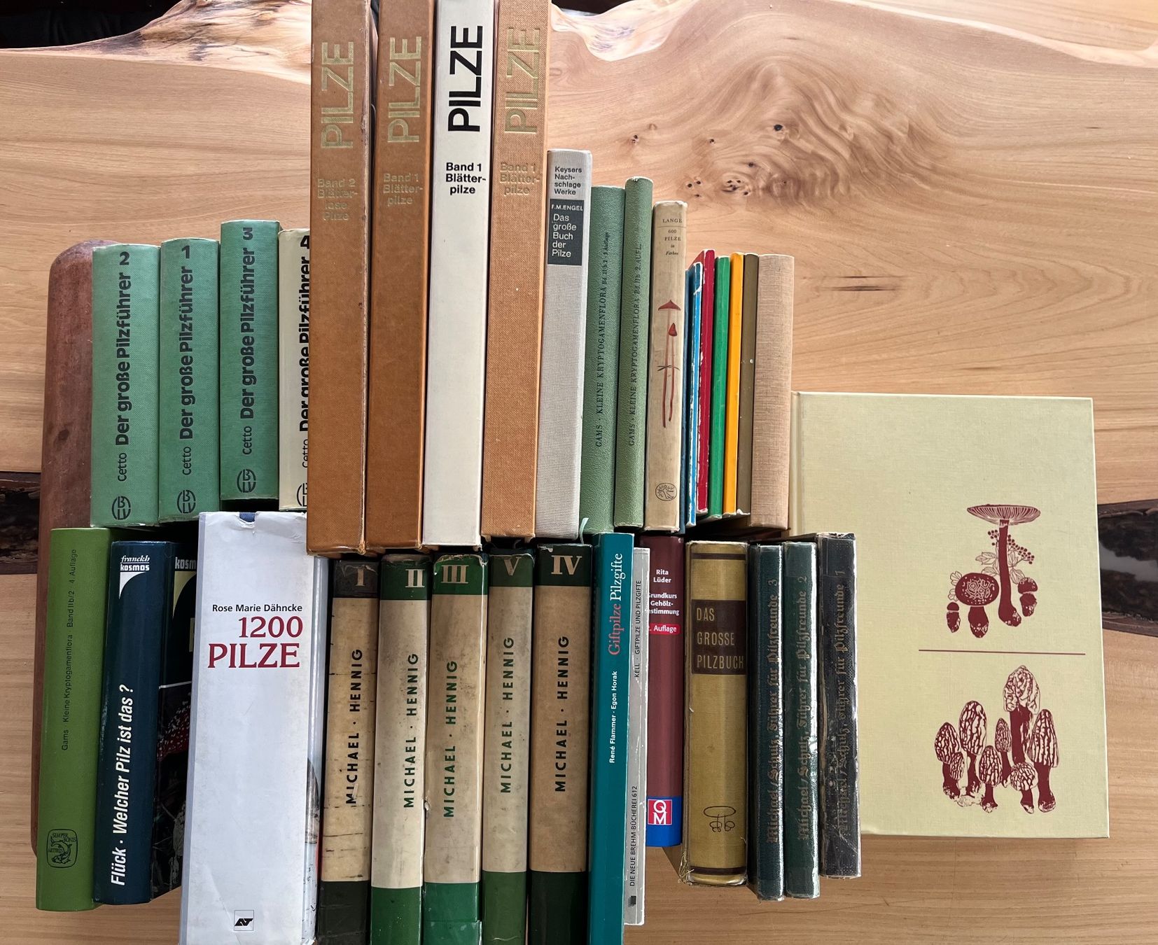 Libri: Pilzbücher diverse antiquarisch – Usato da Märwil venduto da tricholoma 1
