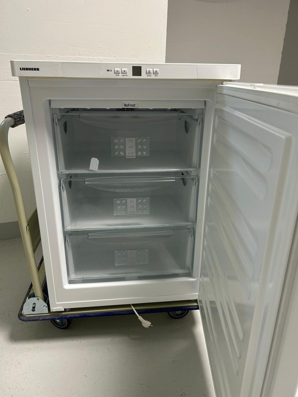 Congelatori: tiefkühlschrank liebherr – Usato da Basel venduto da faz_hdd8 1