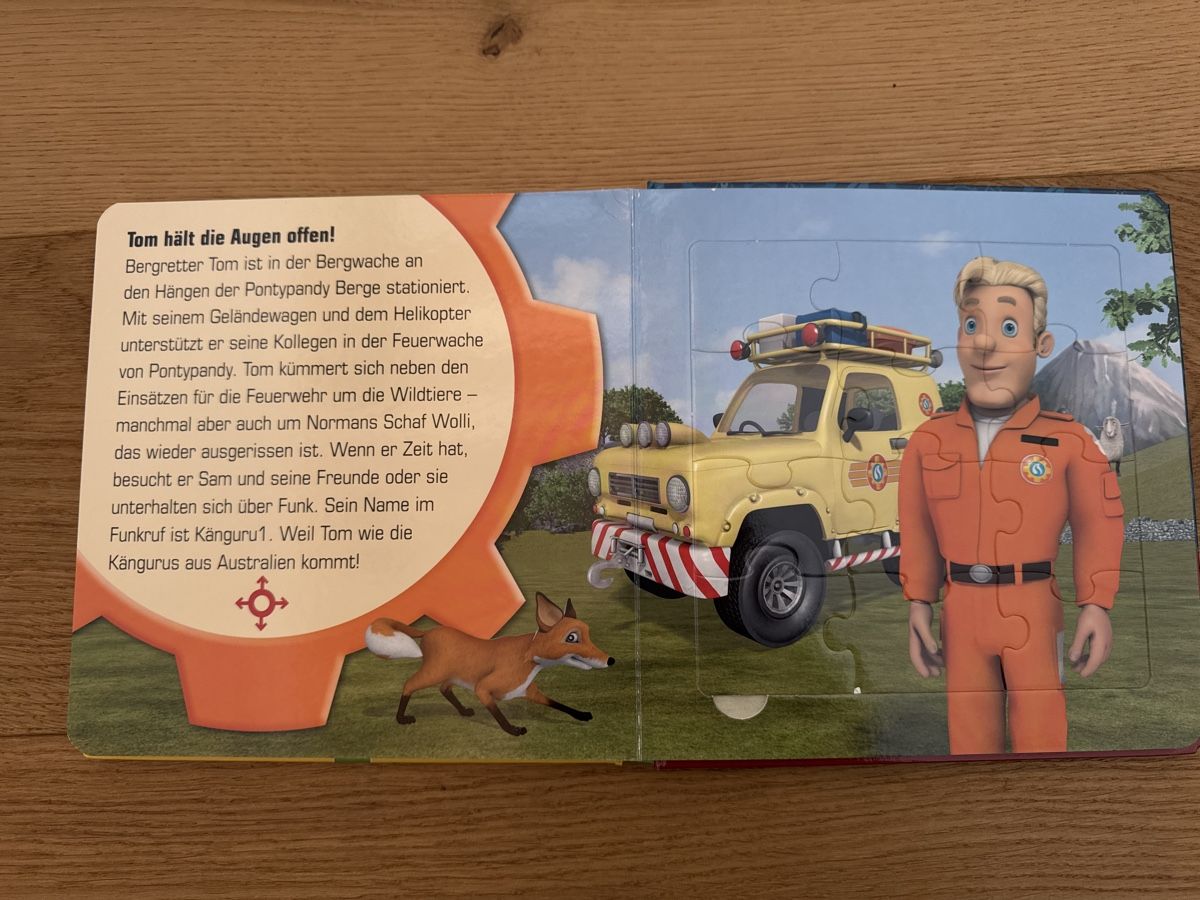 Libri: Feuerwehrmann Sam Puzzle-Buch 3+ – Usato da Raron venduto da cathy123 2