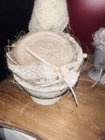 Wunderschöne Rose in terra cotta Topf