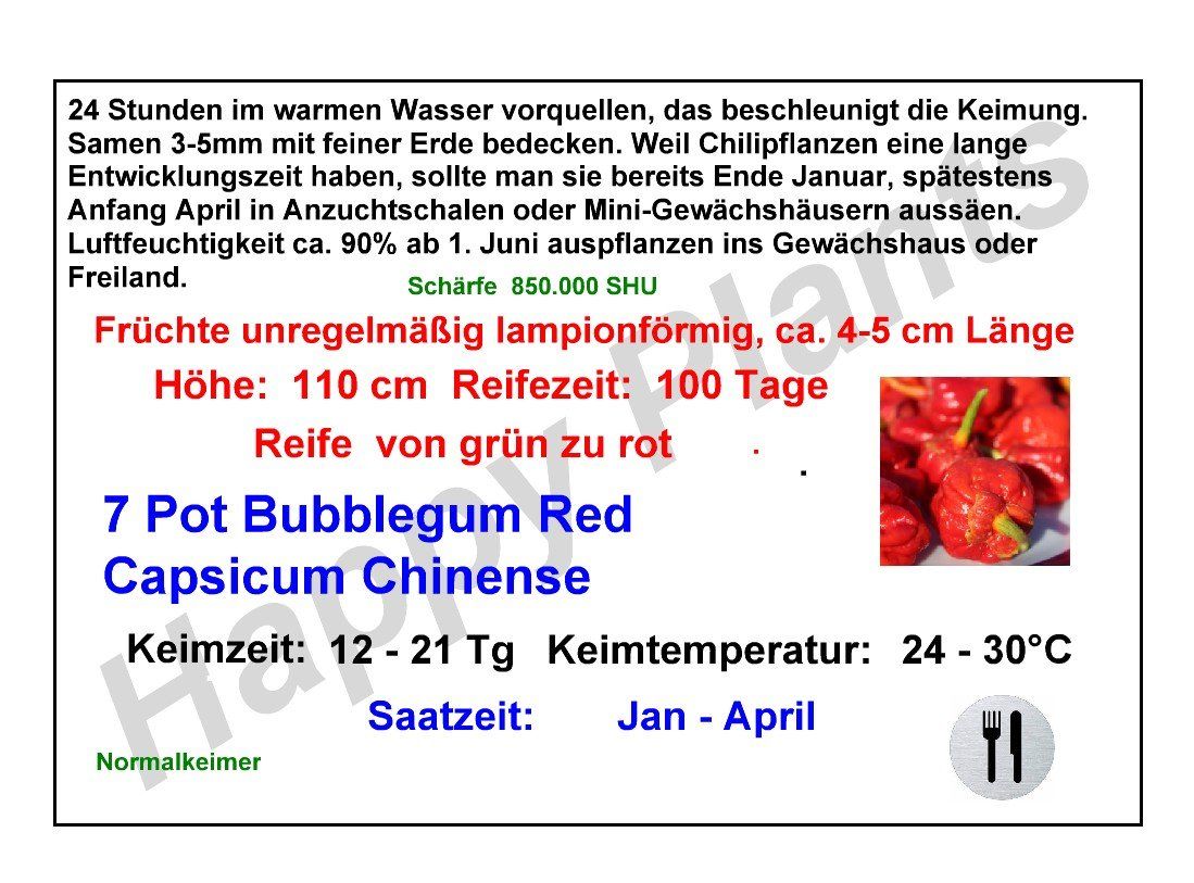 Piante & sementi: 7 Pot Bubblegum Red - Capsicum Chinense - 10 Samen – Nuovo e nell'imballaggio originale da Sumiswald venduto da Cham14559 2