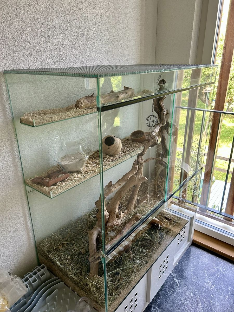 Terrario: Nagerstall / Terrarium – Usato da Zimmerwald venduto da Quigley01 1