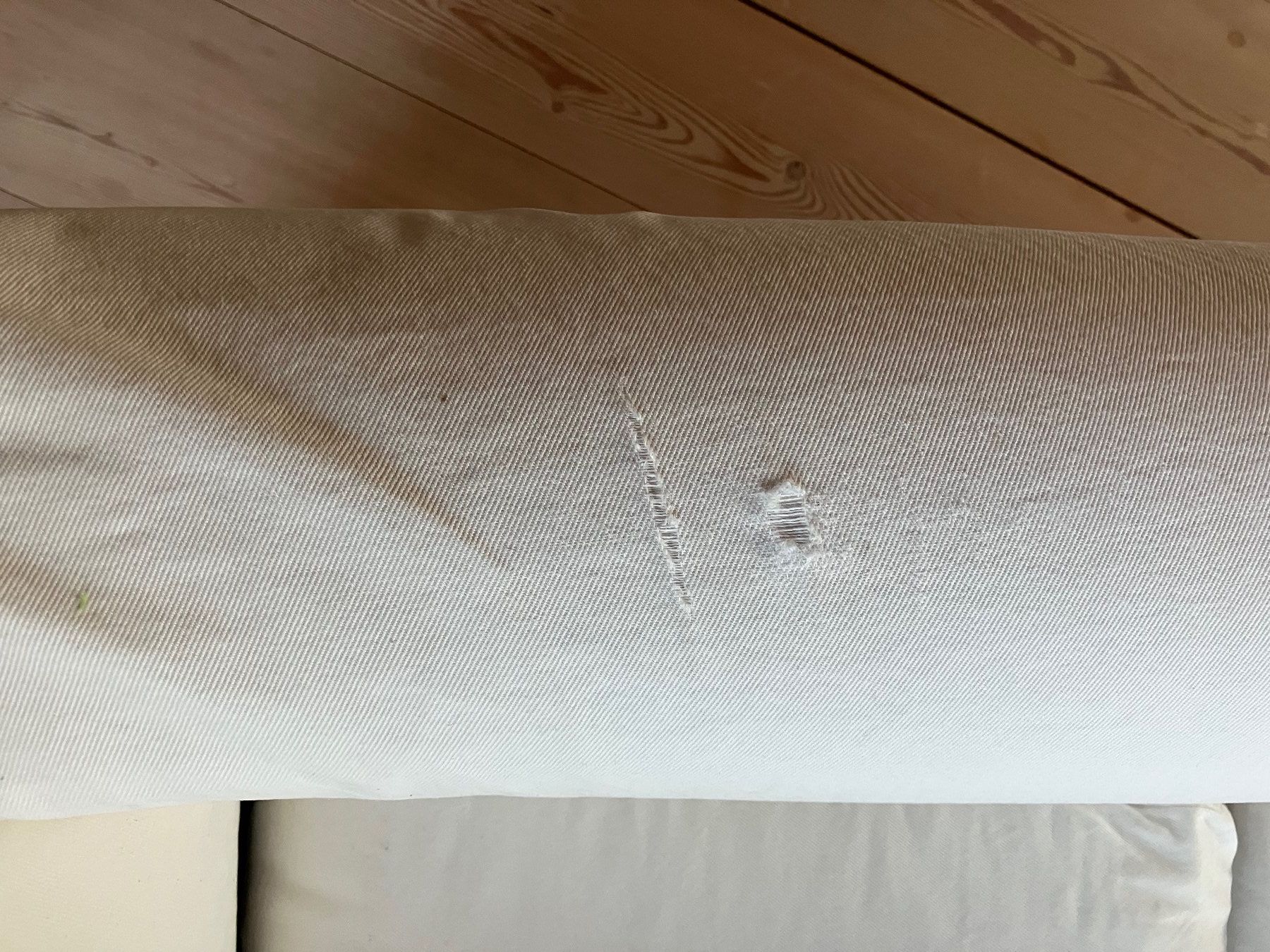 Flexform Sessel: Sessel NONNAMARIA von Flexform – Gebraucht aus Baden von heronimus13 5