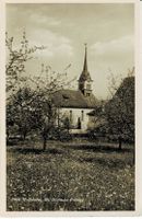 29506 WOLLISHOFEN Kirche im Frühling ZH ca 1920!