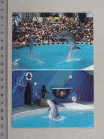 Rapperswil, Knie's Kinderzoo, 1997, Delphin