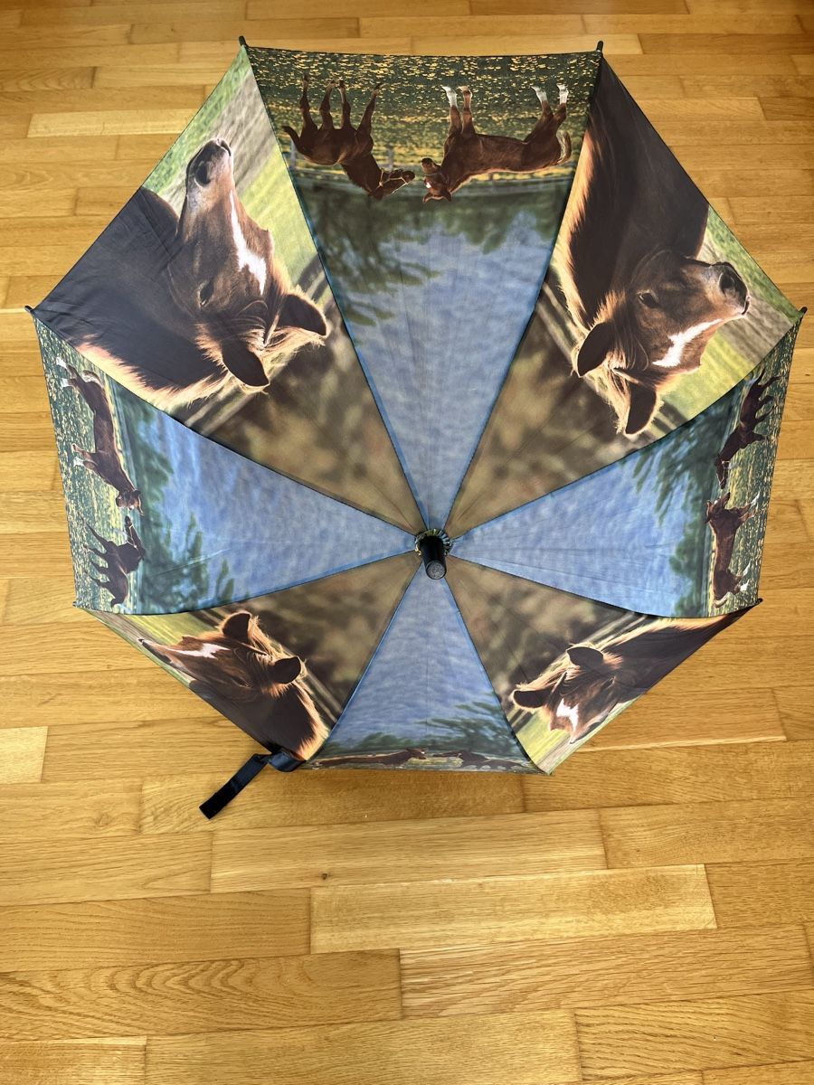 Autres pour enfant & bébé: Kinderschirm /Regenschirm Pferde – D'occasion à Zürich par yeti044
