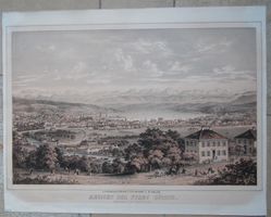 Zürich von der Weid Tonlitho bei Locher grosses Blatt
