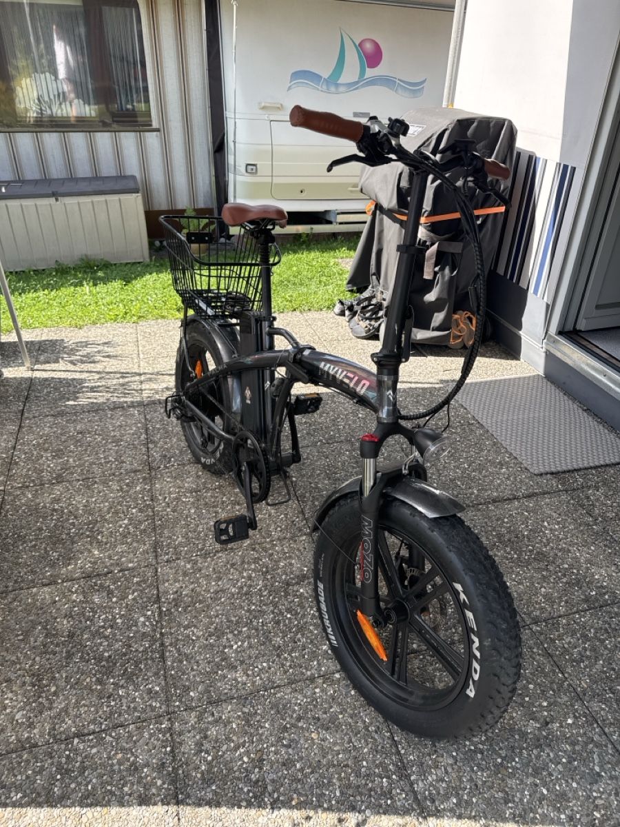 Biciclette: Ebike Fatbike – Usato da Adelboden venduto da gloomer 1